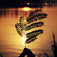 【佳能小痰盂50mmF1.8论坛】说明书、使用技