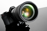 尼康Z 70-200/2.8 VR S镜头图赏：顶级光学水平