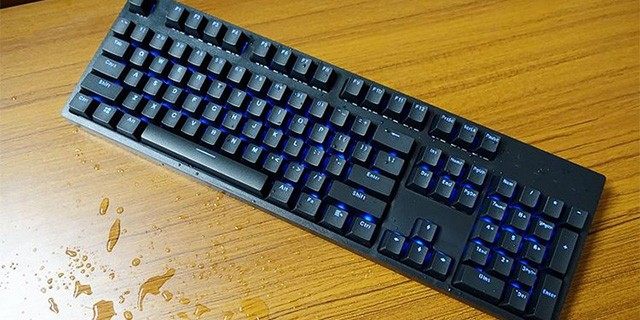 130238794_1548667480342.jpg
